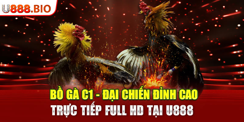 Bồ Gà C1 - Đại Chiến Đỉnh Cao, Trực Tiếp Full HD Tại U888