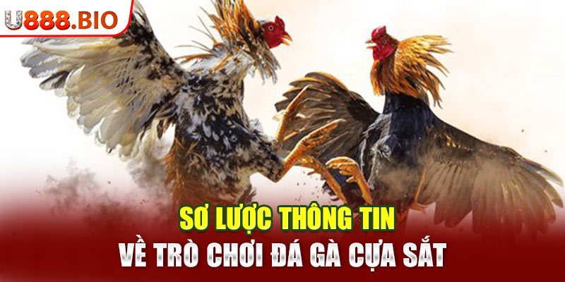 Sơ lược thông tin về trò chơi đá gà cựa sắt