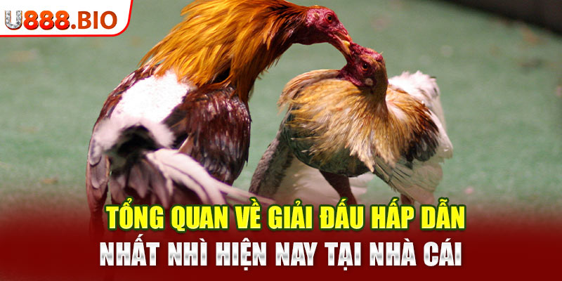 Tổng quan về giải đấu hấp dẫn nhất nhì hiện nay tại nhà cái