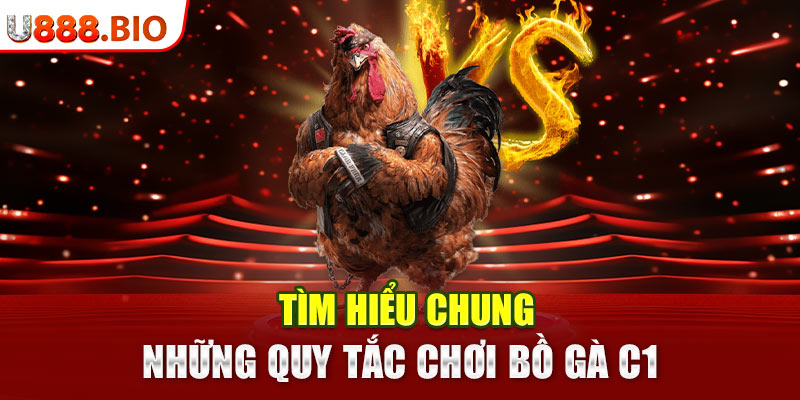 Tìm hiểu chung những quy tắc chơi Bồ Gà C1