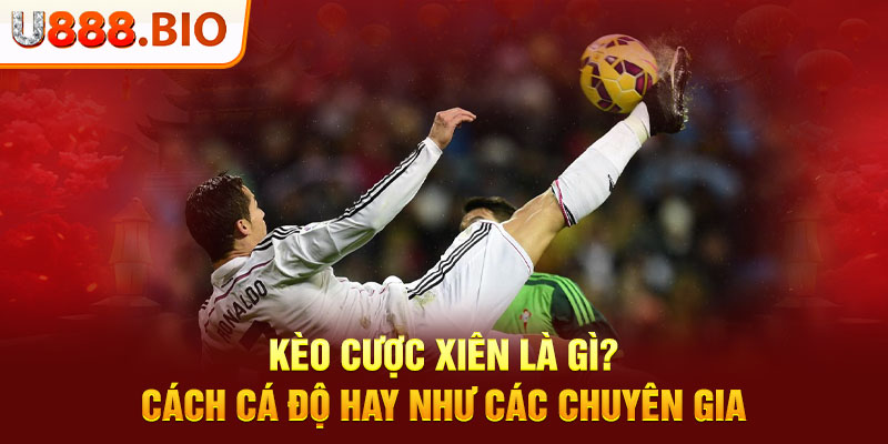 Kèo Cược Xiên Là Gì? Cách Cá Độ Hay Như Các Chuyên Gia