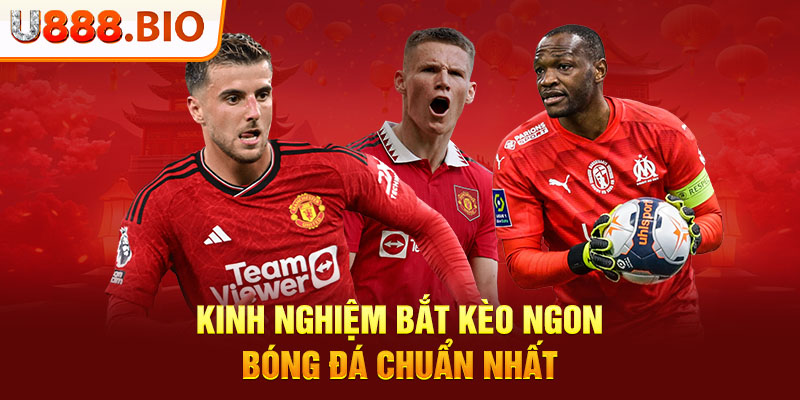 Kinh nghiệm bắt kèo ngon bóng đá chuẩn nhất