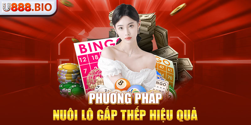 Phương pháp nuôi lô gấp thếp hiệu quả