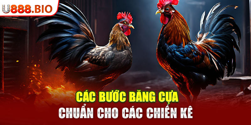 Các bước băng cựa chuẩn cho các chiến kê