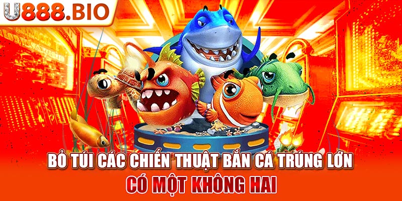 Bỏ túi các chiến thuật bắn cá trúng lớn có một không hai